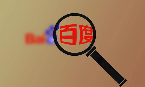 免费引蜘蛛池